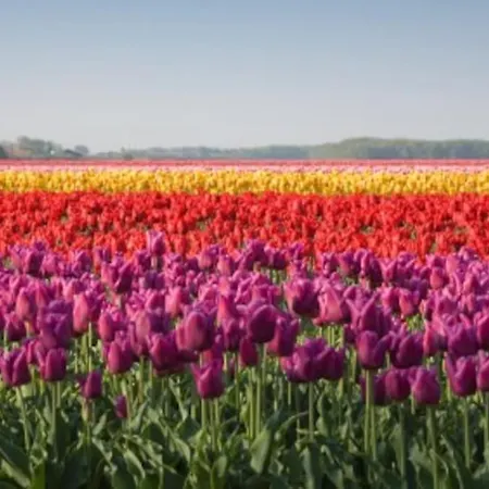 Hello - Zomerhuis De Ruyterstraat 54 *