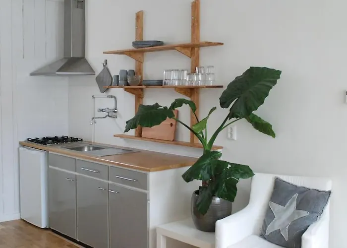 公寓 Hello - Zomerhuis De Ruyterstraat 54 诺德韦克