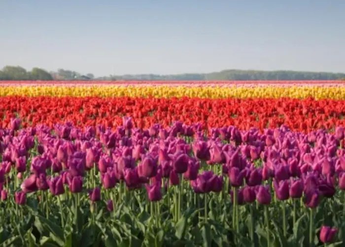 Hello - Zomerhuis De Ruyterstraat 54 *